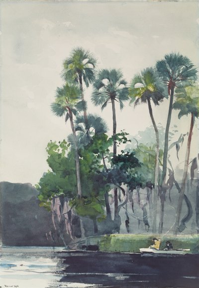 Rivière Homosassa, 1904 - Winslow Homer